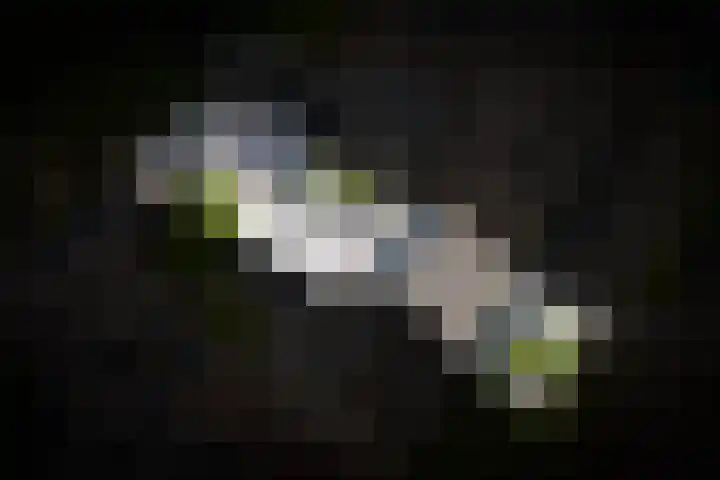 Dahliastraat 10 Beneden-Leeuwen thumbnail 6