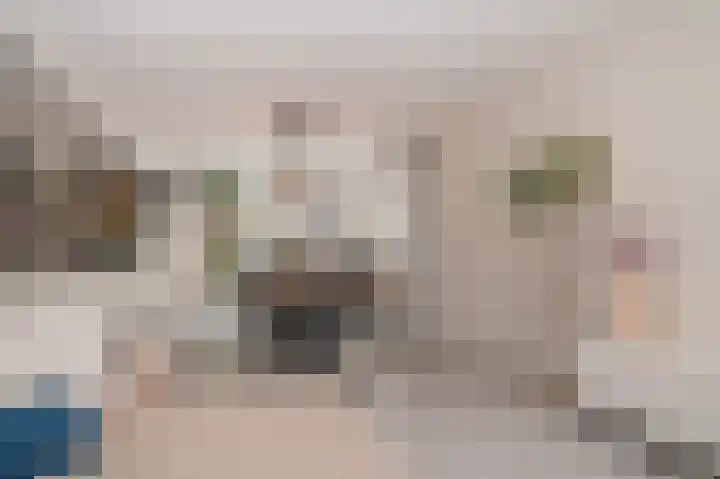 Dahliastraat 10 Beneden-Leeuwen thumbnail 7