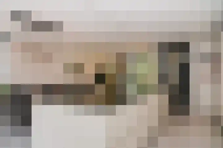 Dahliastraat 10 Beneden-Leeuwen thumbnail 8