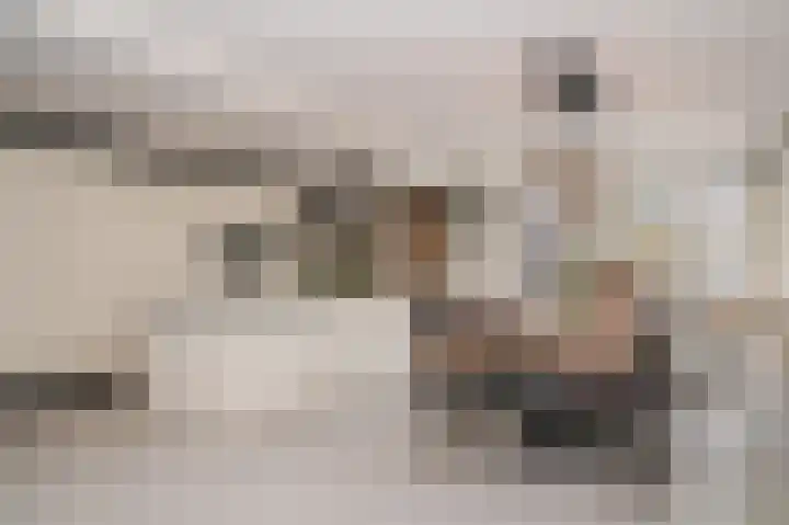 Dahliastraat 10 Beneden-Leeuwen thumbnail 9
