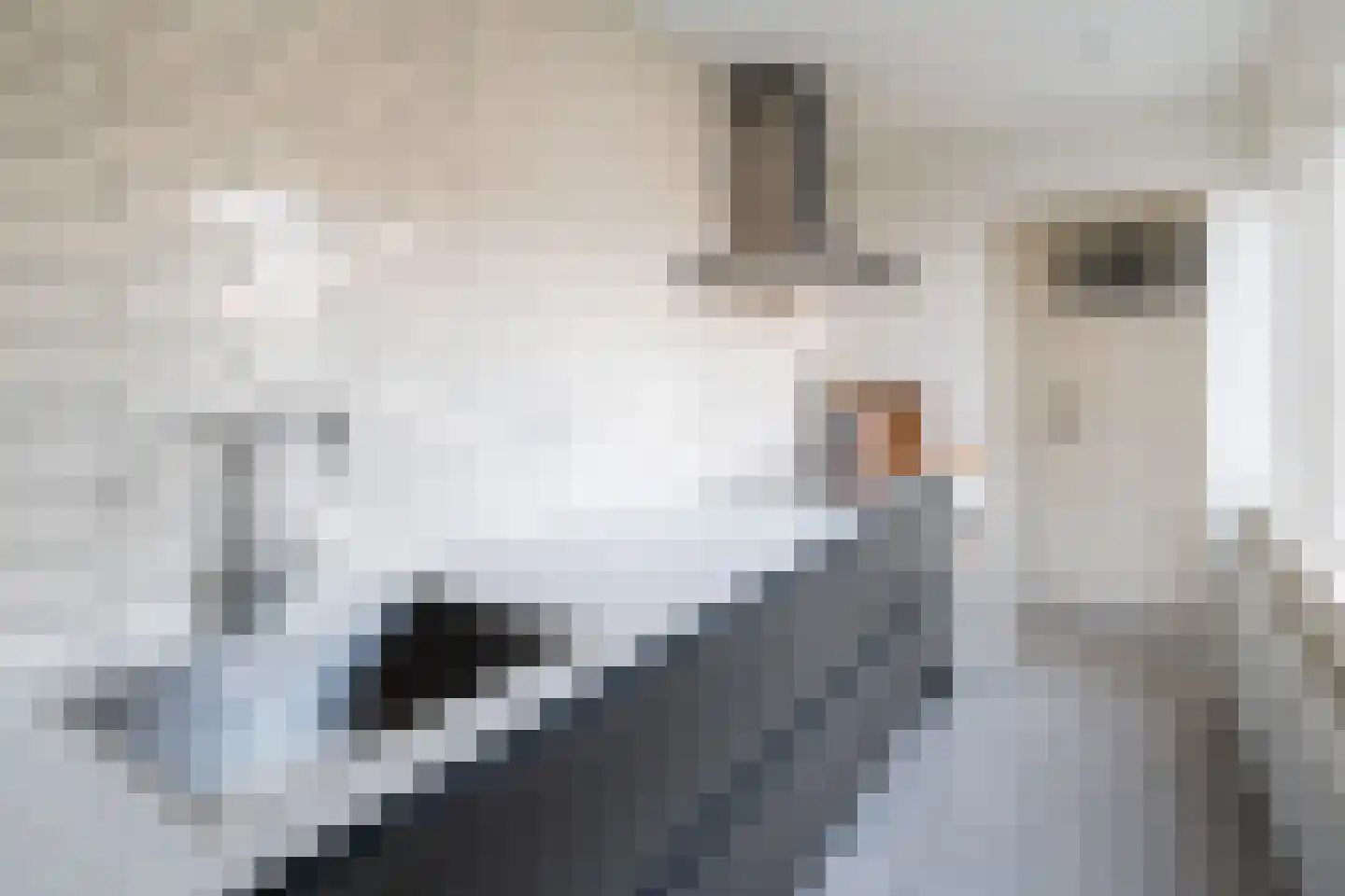 Dahliastraat 10 Woerden thumbnail 11