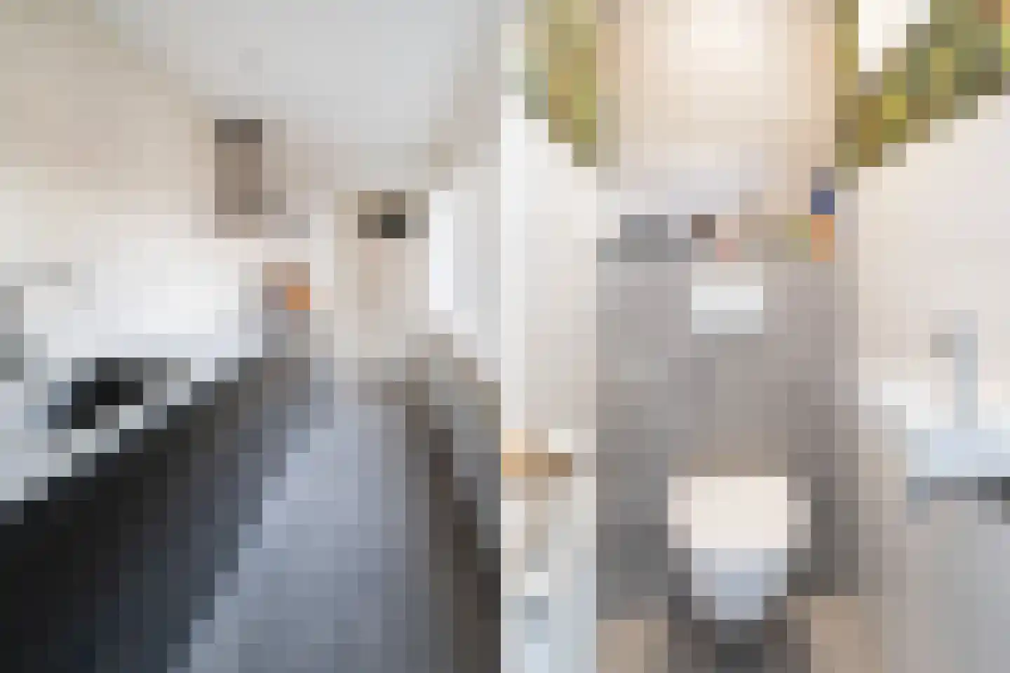 Dahliastraat 10 Woerden thumbnail 12