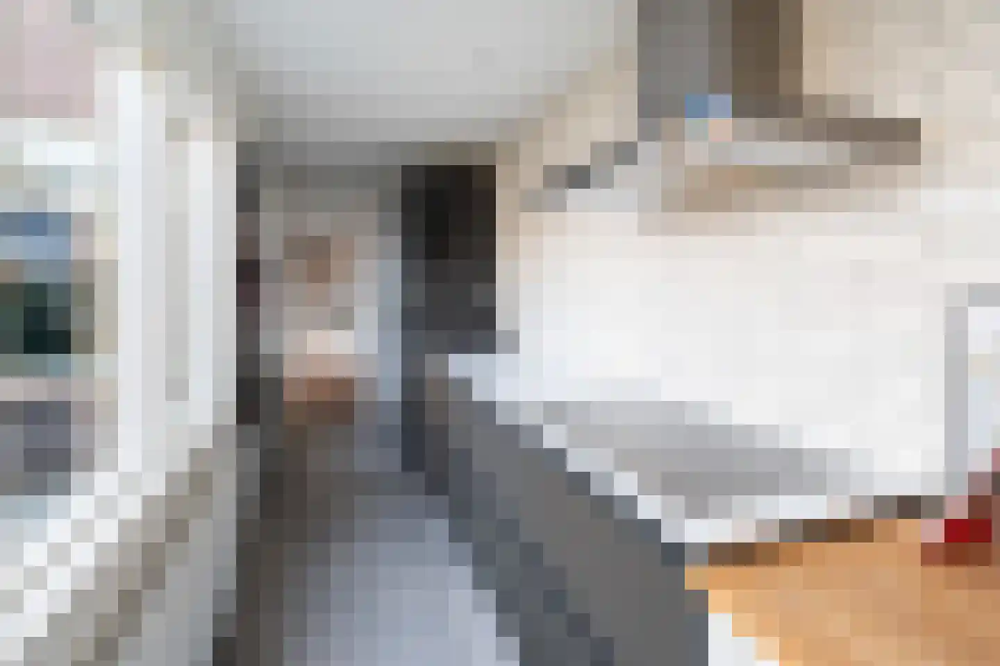 Dahliastraat 10 Woerden thumbnail 13