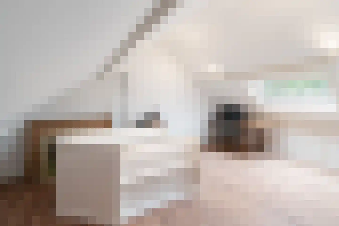 Dahliastraat 10 Woerden thumbnail 22