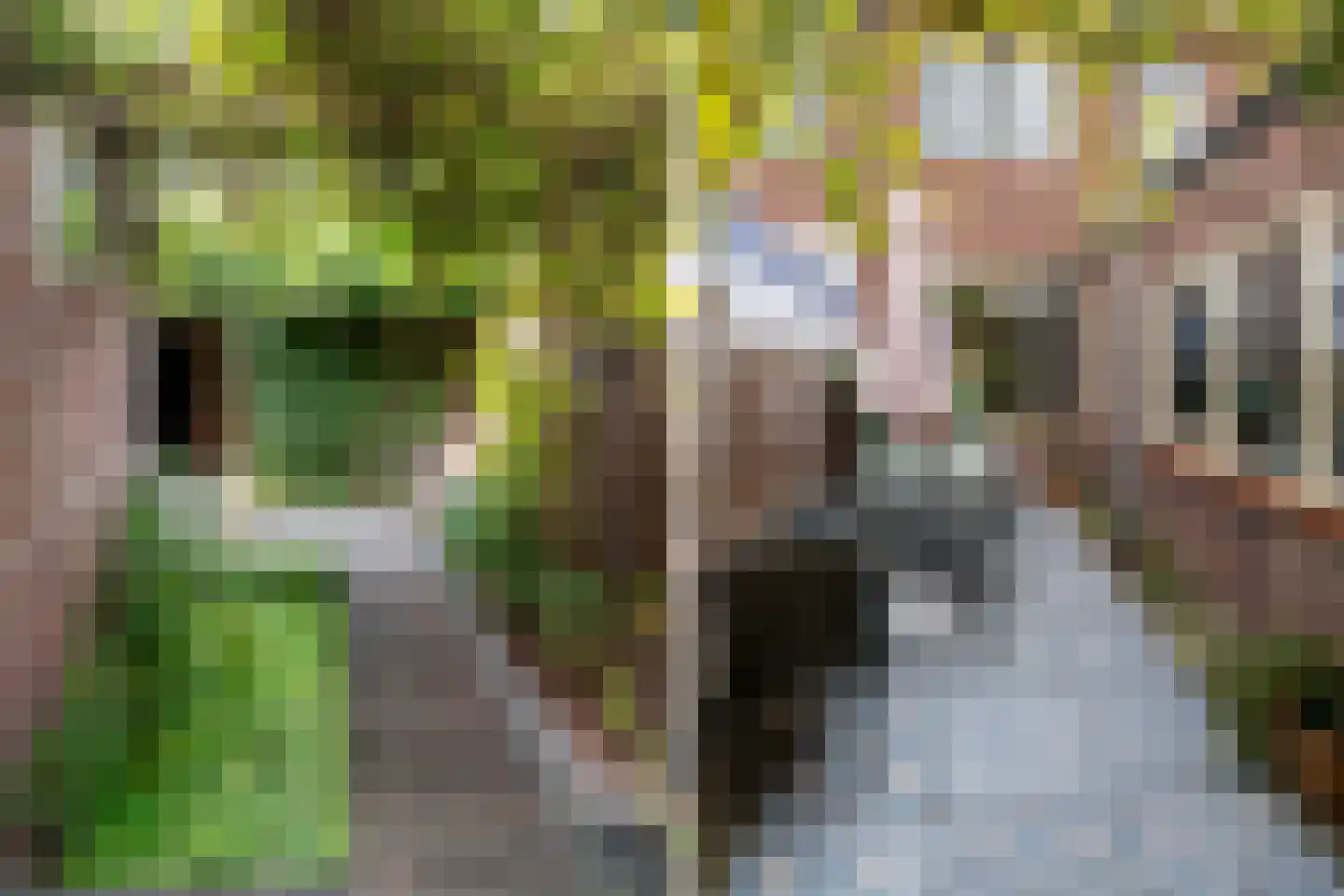 Dahliastraat 10 Woerden thumbnail 25