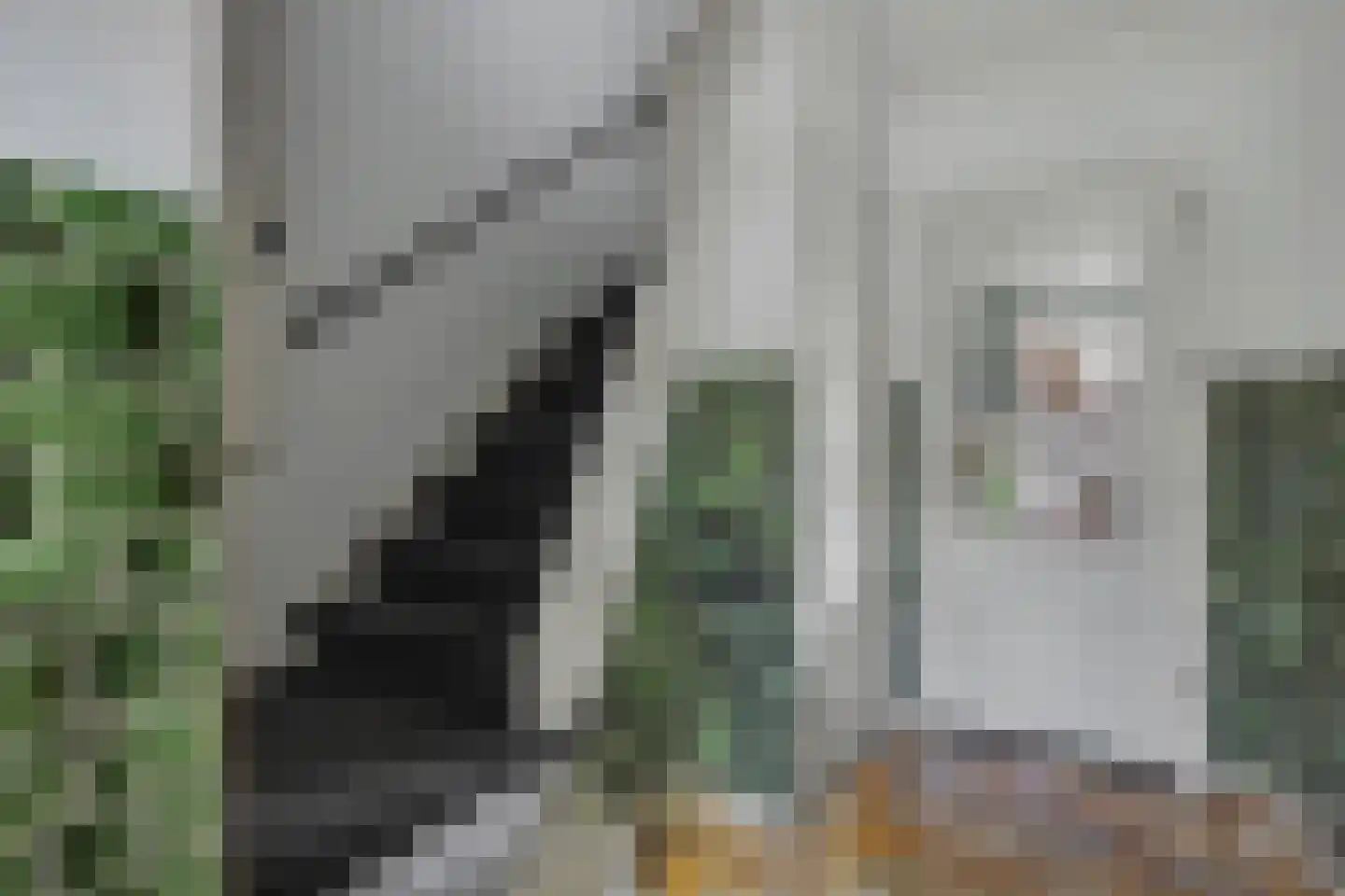 Dahliastraat 108 Enschede thumbnail 6