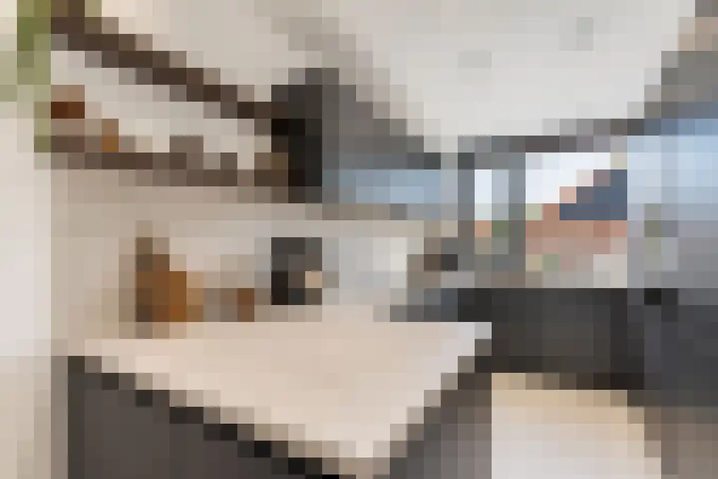 Dahliastraat 11 A Baarn thumbnail 4