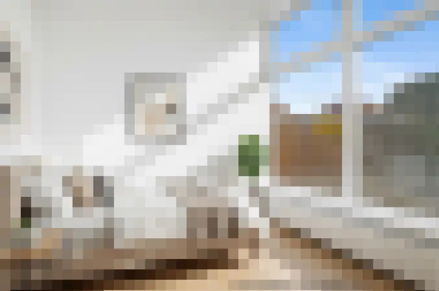 Dahliastraat 11 Almelo thumbnail 10