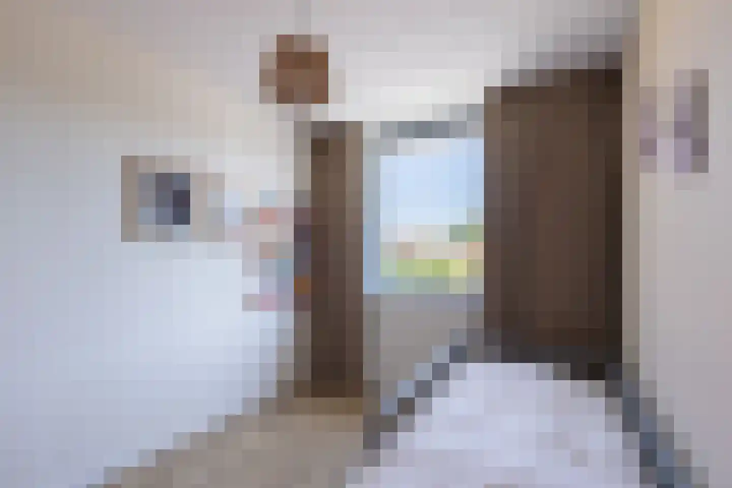Dahliastraat 11 L Baarn thumbnail 24