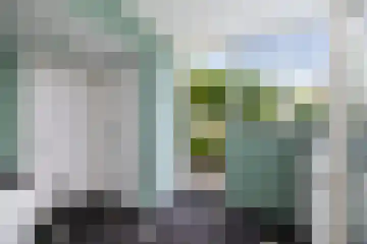 Dahliastraat 11 Olst thumbnail 10