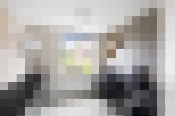 Dahliastraat 11 Olst thumbnail 15