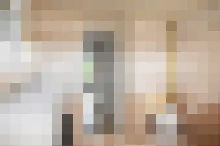 Dahliastraat 11 Olst thumbnail 17