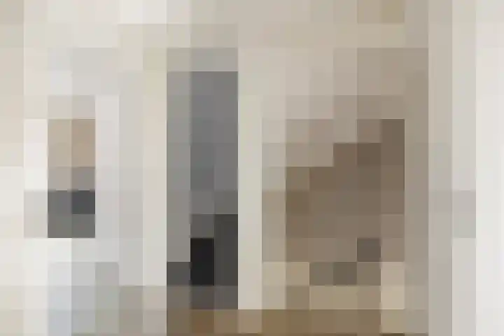 Dahliastraat 11 Olst thumbnail 18