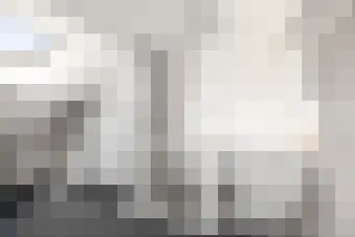 Dahliastraat 11 Olst thumbnail 21