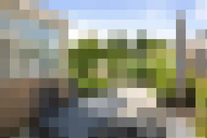 Dahliastraat 11 Olst thumbnail 23