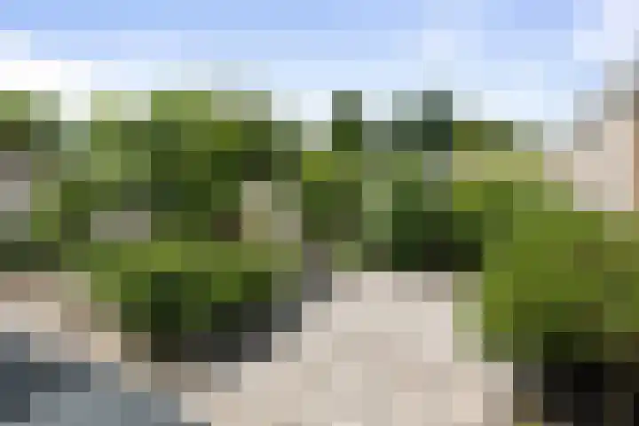Dahliastraat 11 Olst thumbnail 24