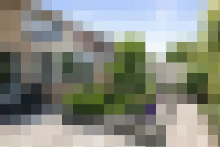 Dahliastraat 11 Olst thumbnail 25