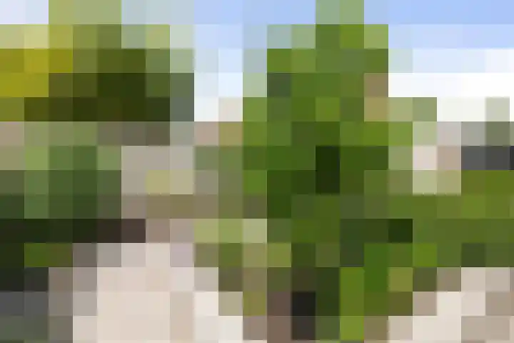 Dahliastraat 11 Olst thumbnail 26