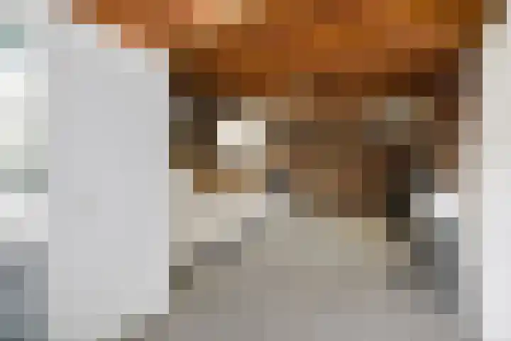 Dahliastraat 11 Olst thumbnail 27