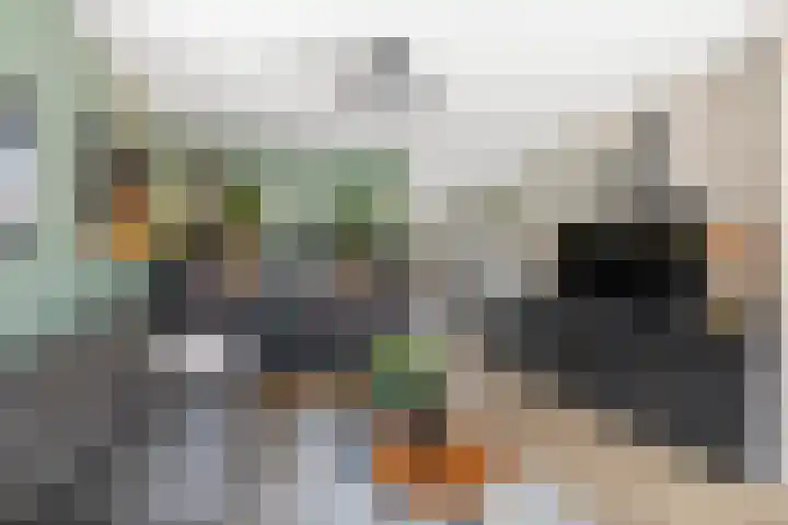 Dahliastraat 11 Olst thumbnail 4
