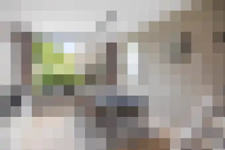 Dahliastraat 11 Olst thumbnail 5