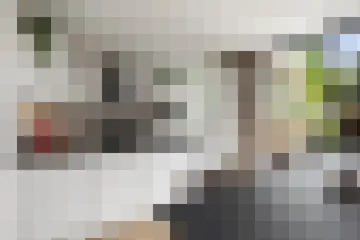 Dahliastraat 11 Olst thumbnail 6