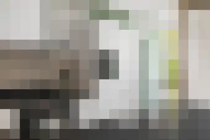 Dahliastraat 11 Olst thumbnail 7