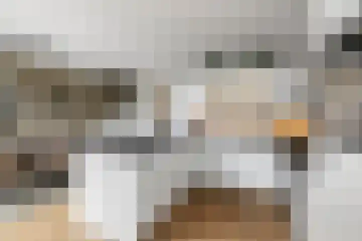 Dahliastraat 11 Olst thumbnail 8
