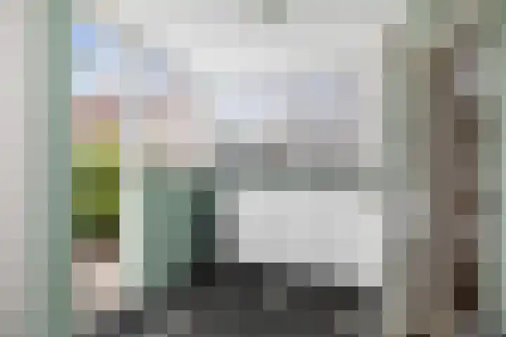 Dahliastraat 11 Olst thumbnail 9
