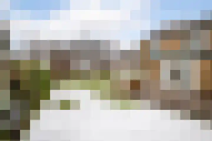 Dahliastraat 110 Hoogkarspel thumbnail 11