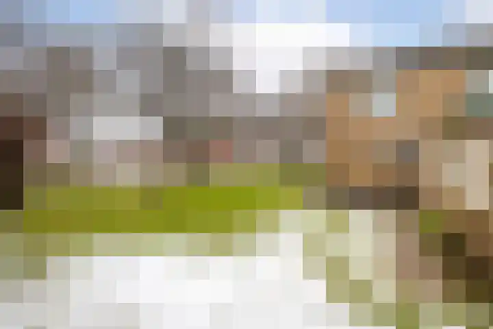 Dahliastraat 110 Hoogkarspel thumbnail 12