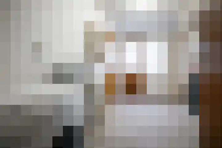 Dahliastraat 110 Hoogkarspel thumbnail 13