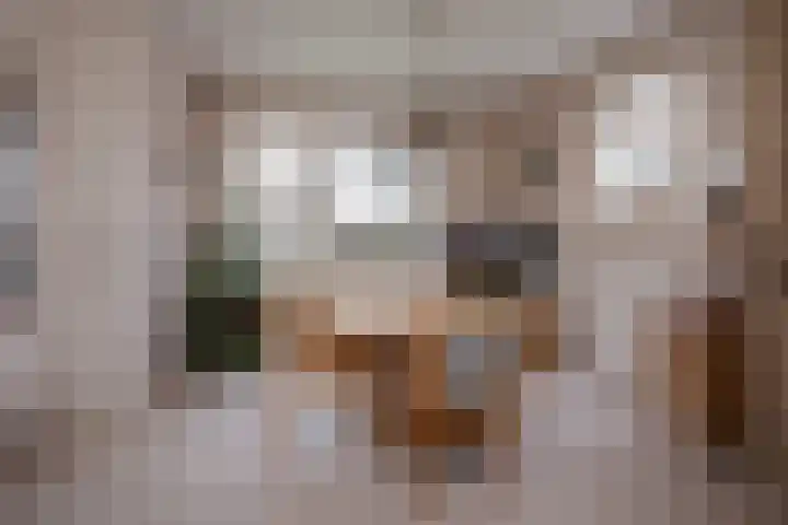 Dahliastraat 110 Hoogkarspel thumbnail 15