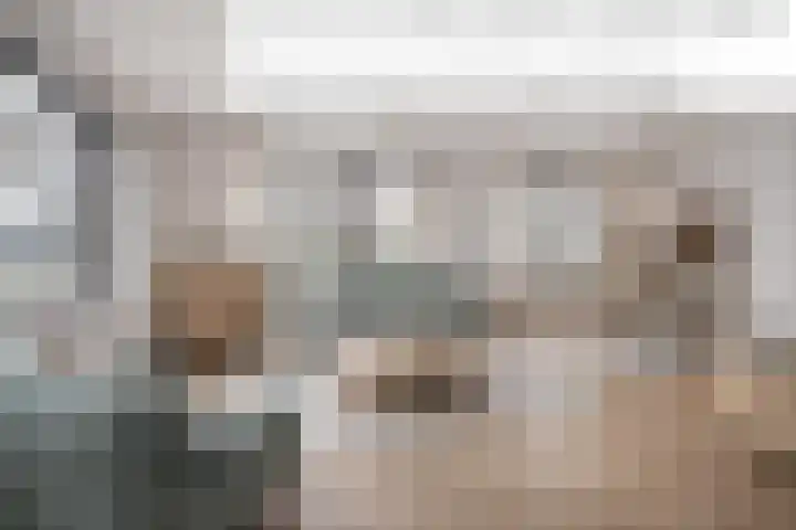 Dahliastraat 110 Hoogkarspel thumbnail 17