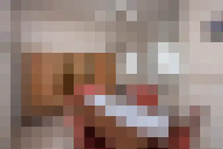 Dahliastraat 110 Hoogkarspel thumbnail 18