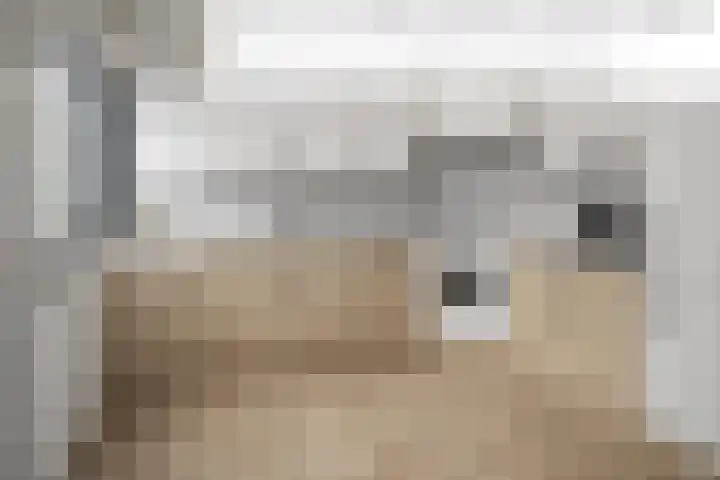 Dahliastraat 110 Hoogkarspel thumbnail 20