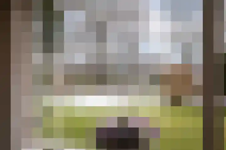 Dahliastraat 110 Hoogkarspel thumbnail 22