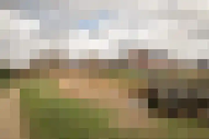 Dahliastraat 110 Hoogkarspel thumbnail 37
