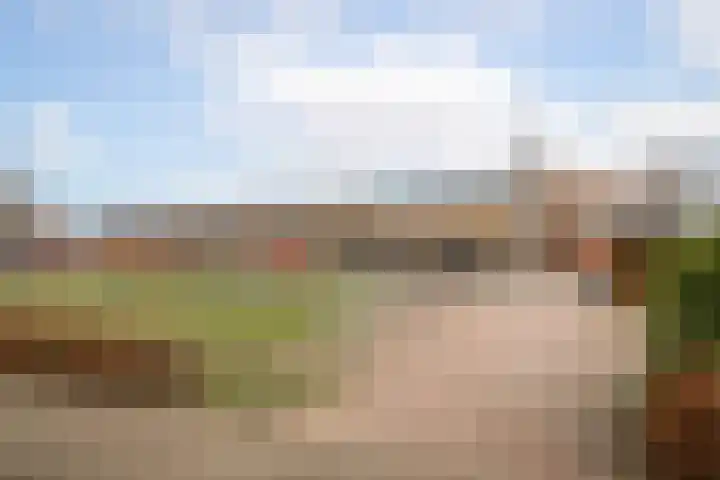 Dahliastraat 110 Hoogkarspel thumbnail 40