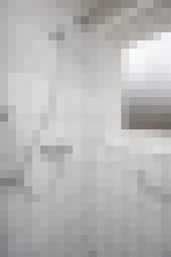 Dahliastraat 110 Hoogkarspel thumbnail 43