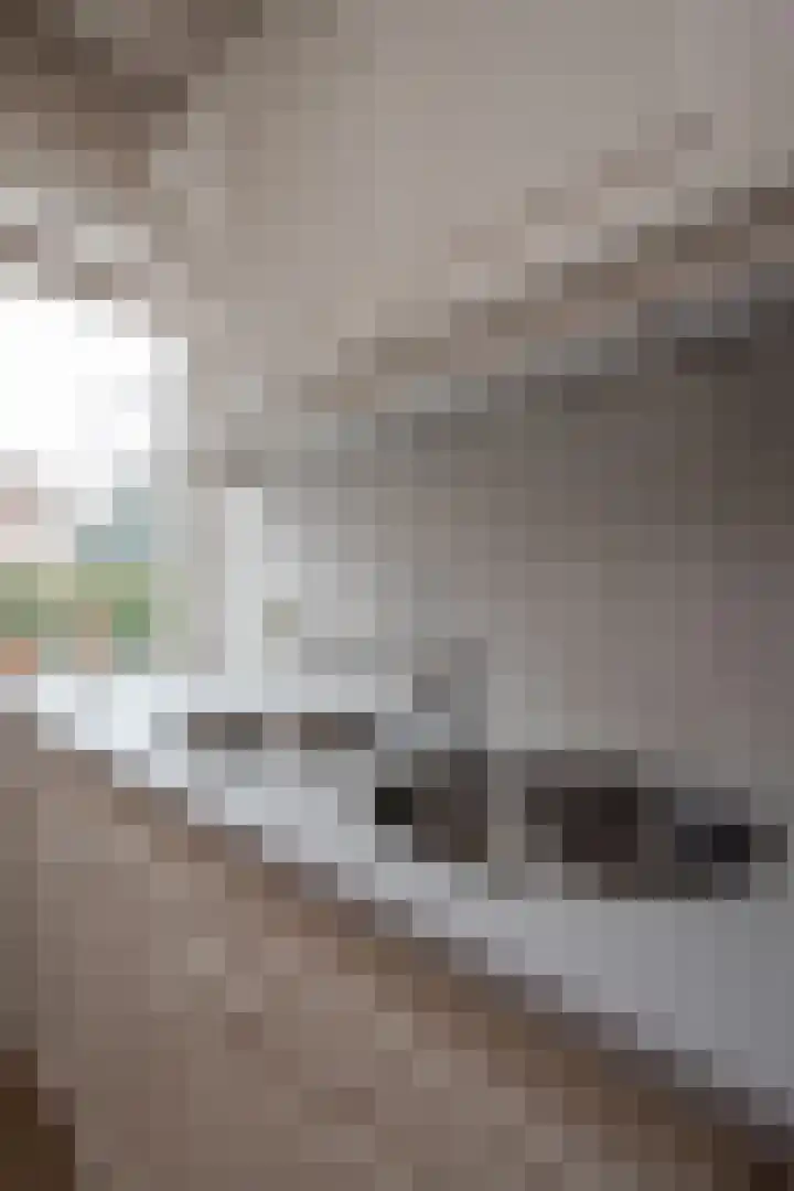 Dahliastraat 110 Hoogkarspel thumbnail 45