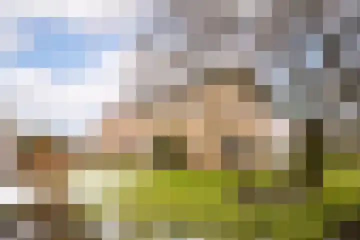 Dahliastraat 110 Hoogkarspel thumbnail 7