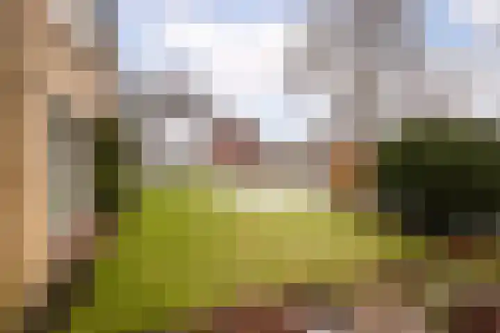 Dahliastraat 110 Hoogkarspel thumbnail 8