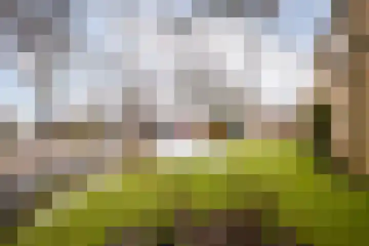 Dahliastraat 110 Hoogkarspel thumbnail 9