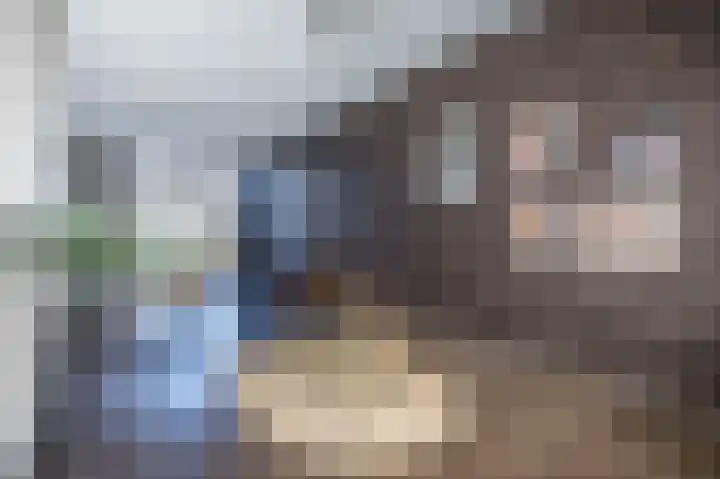 Dahliastraat 12 Almelo thumbnail 10