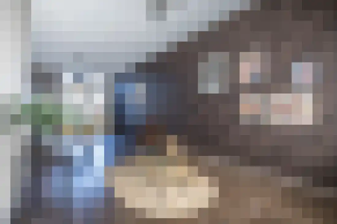 Dahliastraat 12 Almelo thumbnail 10