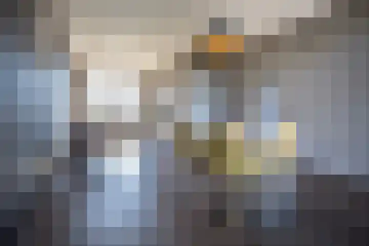 Dahliastraat 12 Almelo thumbnail 12