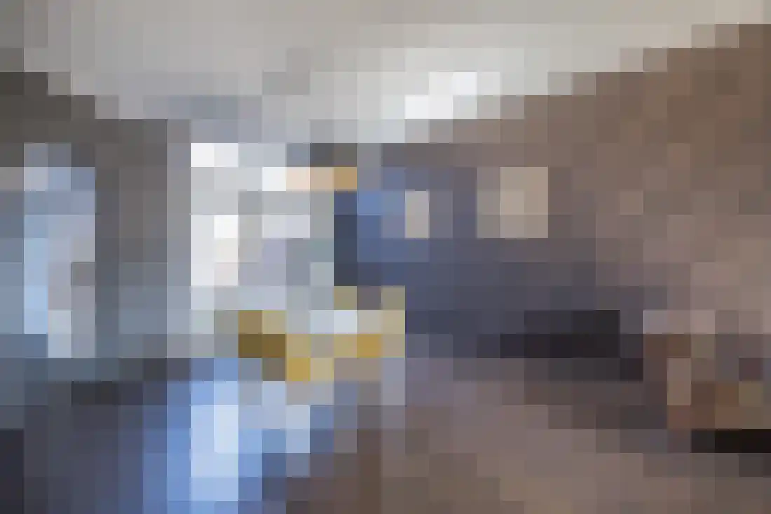 Dahliastraat 12 Almelo thumbnail 13