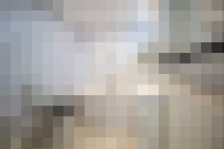 Dahliastraat 12 Almelo thumbnail 17