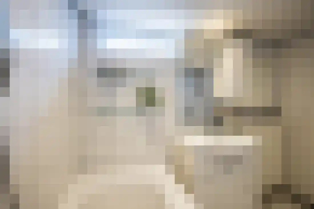 Dahliastraat 12 Almelo thumbnail 18